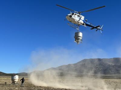 Aerial seeding_IMG_2133 (002).jpg