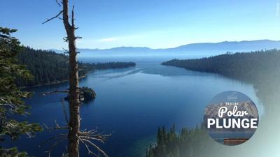 CUTL Polar Plunge