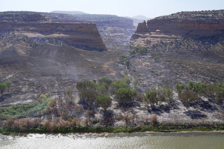 US Wildfire