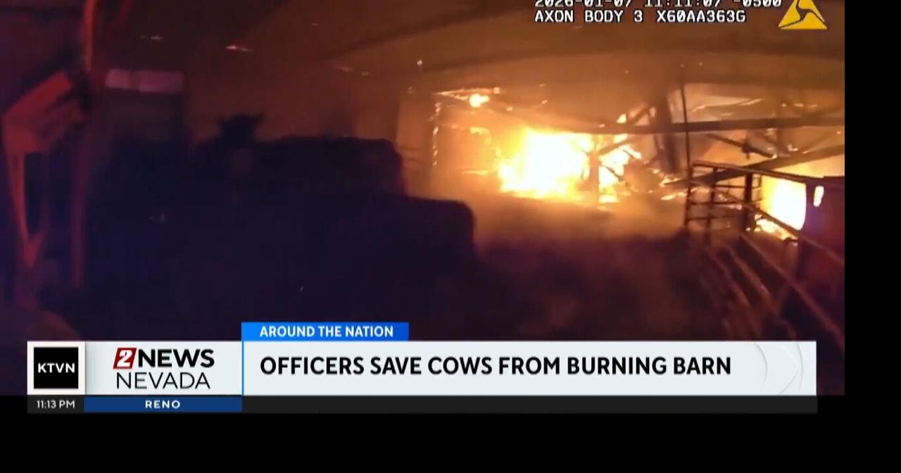 Officers save cows trapped in barn fire | Videos | 2news.com