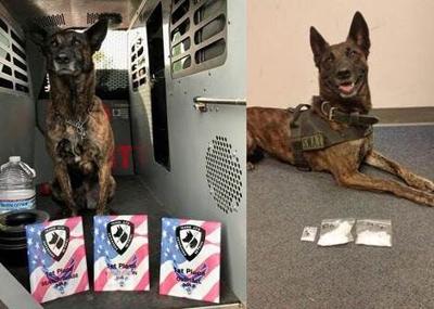 South Lake Tahoe Police Department K9 to Retire