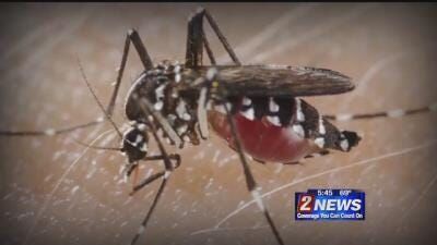 Dozens of U.S. Troops Infected With Zika Virus