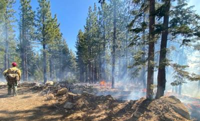 Humboldt-Toiyabe National Forest
