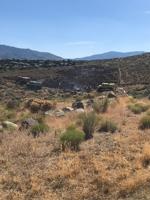 Humboldt-Toiyabe NF: Fire Off Of Brookdale Road's Forward Progress Stopped