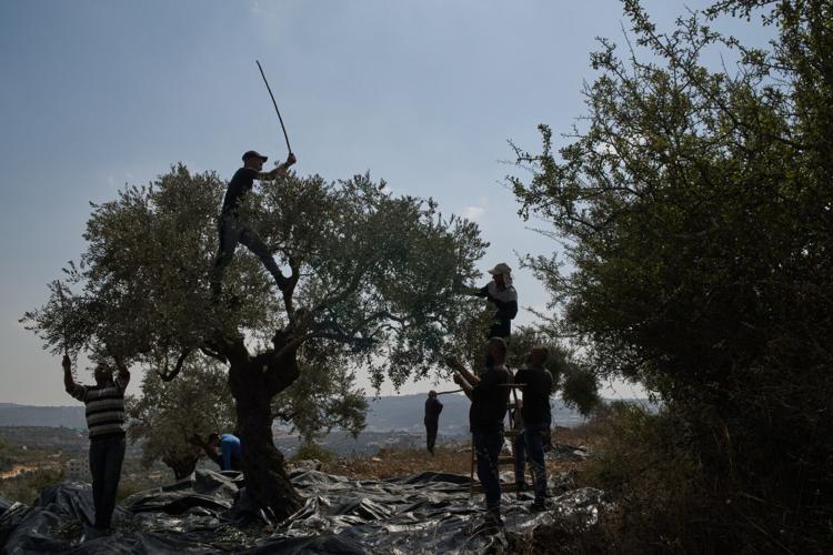 Israeli airstrikes continue across Gaza and other top photos from the Middle East