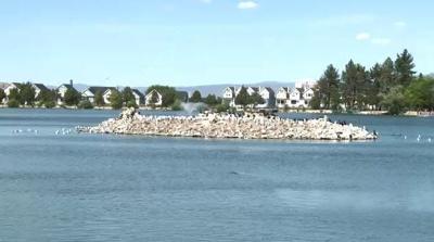 Proposed Projects to Save Virginia Lake