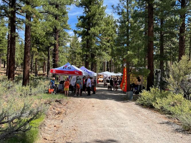Hike For Hounds 2025