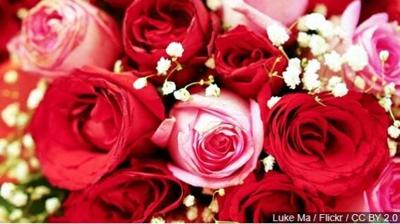 Hundreds of Flower Orders Underway For Valentine's Day