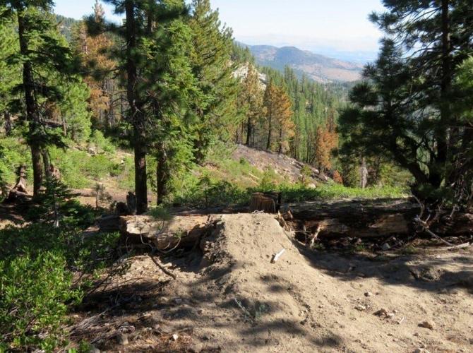 Officials Seeing Increase In Illegal Trail Building, Warn Residents About Penalties