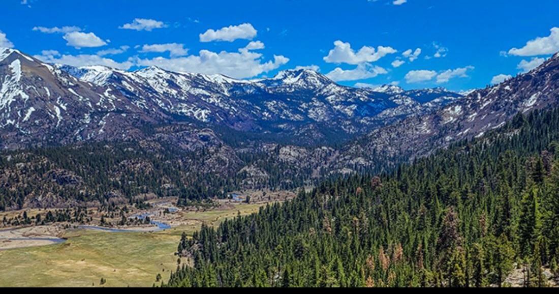 HumboldtToiyabe National Forest Seeking Feedback on Proposed Christmas