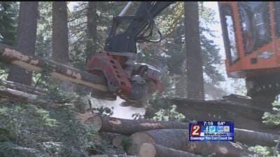 Forest Trimming Continues in North Lake Tahoe