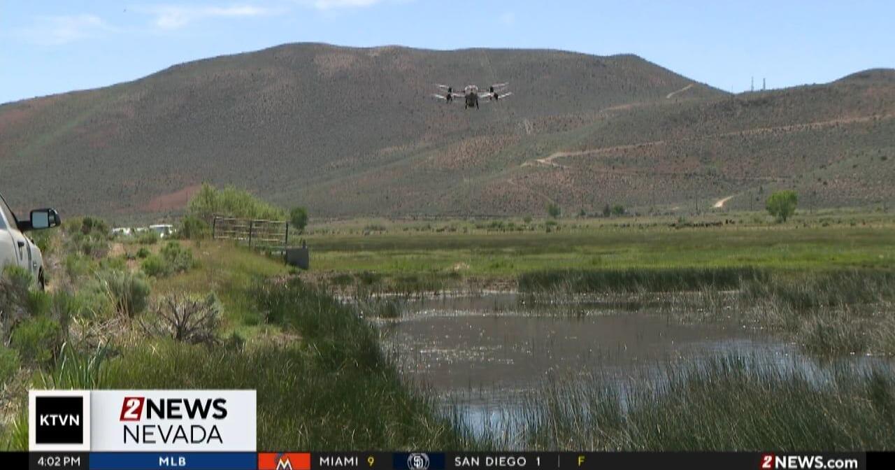 Northern Nevada Public Health Using New Drone for Mosquito Abatement - Vimarsana News