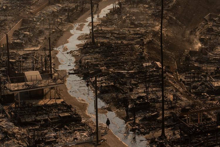 California Wildfires Trump