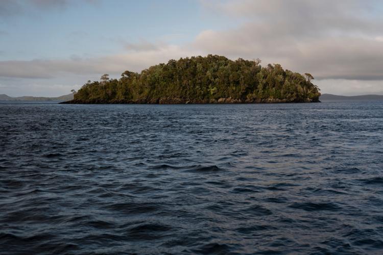 Chile Salmon Farms
