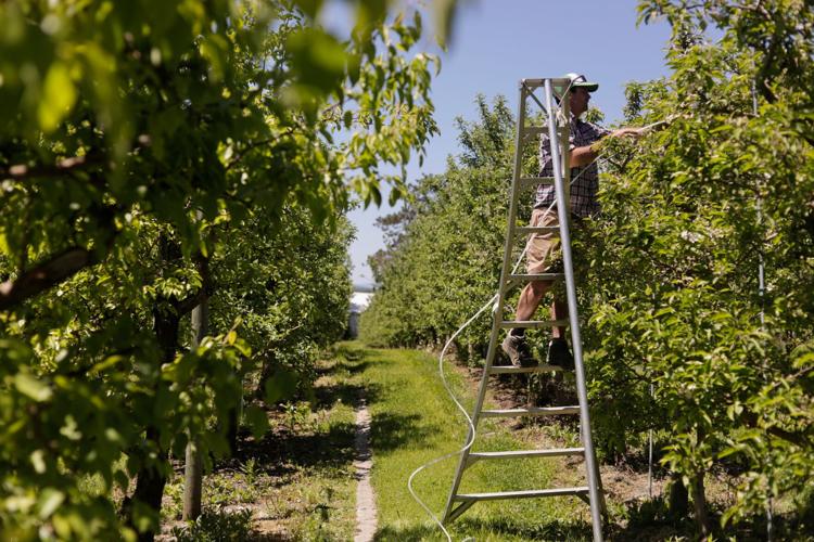 Vermont Paraquat Ban