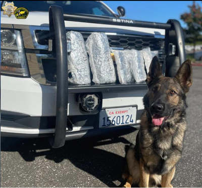 Placer County k-9 drug bust.PNG