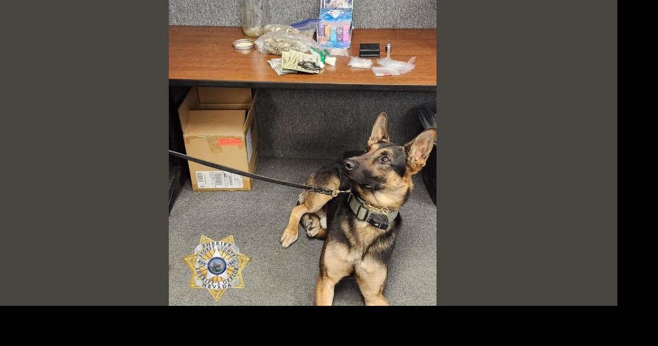 K9 alert at industrial job site leads deputies to suspected drugs and ...