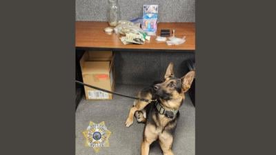 Storey County Sheriff's Office Narcotics Arrest