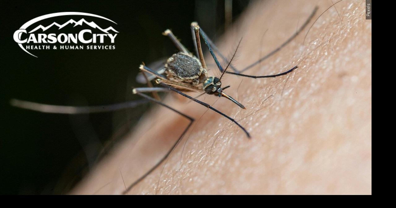 Carson City to conduct drone mosquito treatments across several areas Thursday