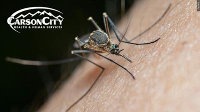 Mosquito with Carson City HHS logo