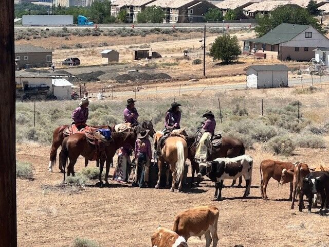 Reno Rodeo 2025 Cattle Drive - final trek to rodeo grounds 28