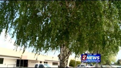 Watering Trees During a Drought