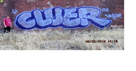 Duo from Elko Sentenced to Prison for Graffiti at Sacred White River Narrows Petroglyph Site - Vimarsana News