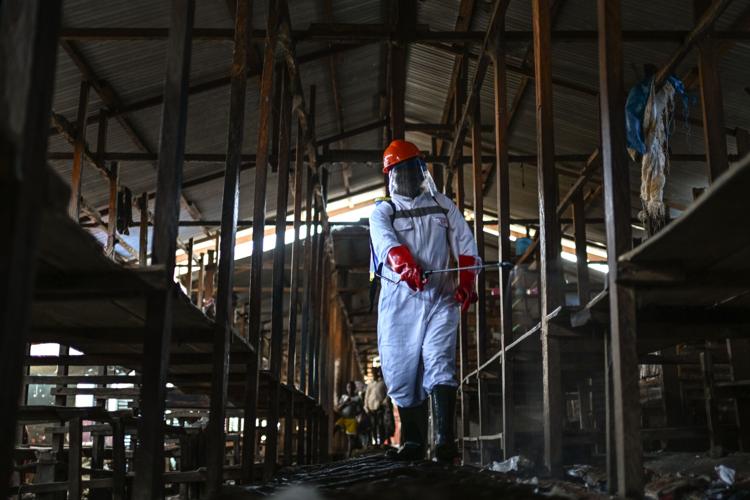 APTOPIX Congo Ebola