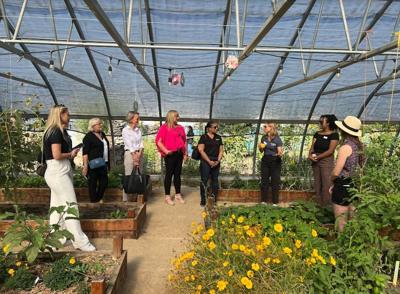 Reno Nonprofit Urban Roots Awarded $92,000 in Funds As Community Recovery Grantee