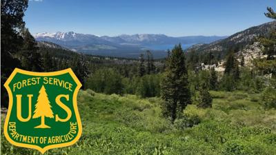 U.S. Forest Service