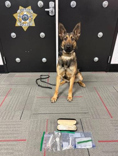 Storey Co Drug Arrest 2