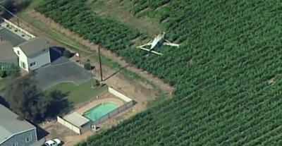 Plane Carrying 17 Skydivers Crashes in Northern California Vineyard