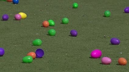 Washoe CASA Foundation Biggest Little Easter Egg Hunt and Resource Fair