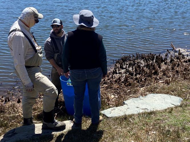 Invasive Fish Cleanup