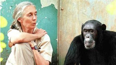 Jane Goodall