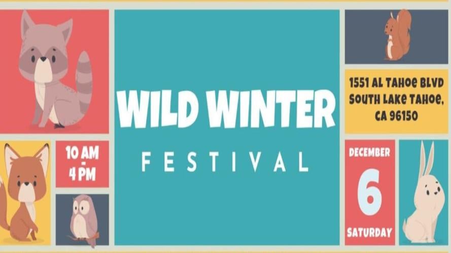 Wild Winter Festival web