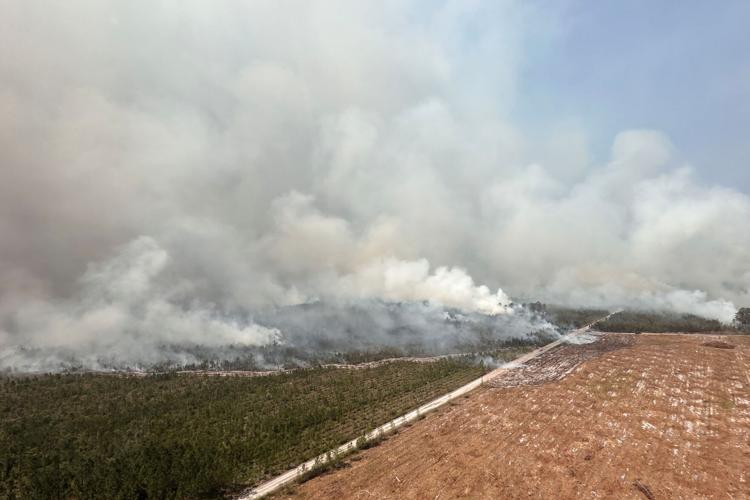 US Wildfires