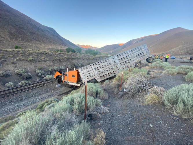 I-80 Eastbound Closed Due to Cattle Truck Crash 1