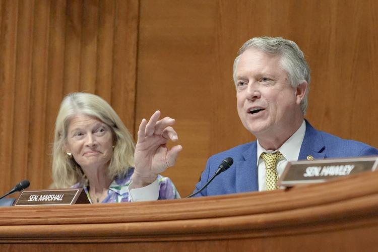 Senate Labor Sonderling