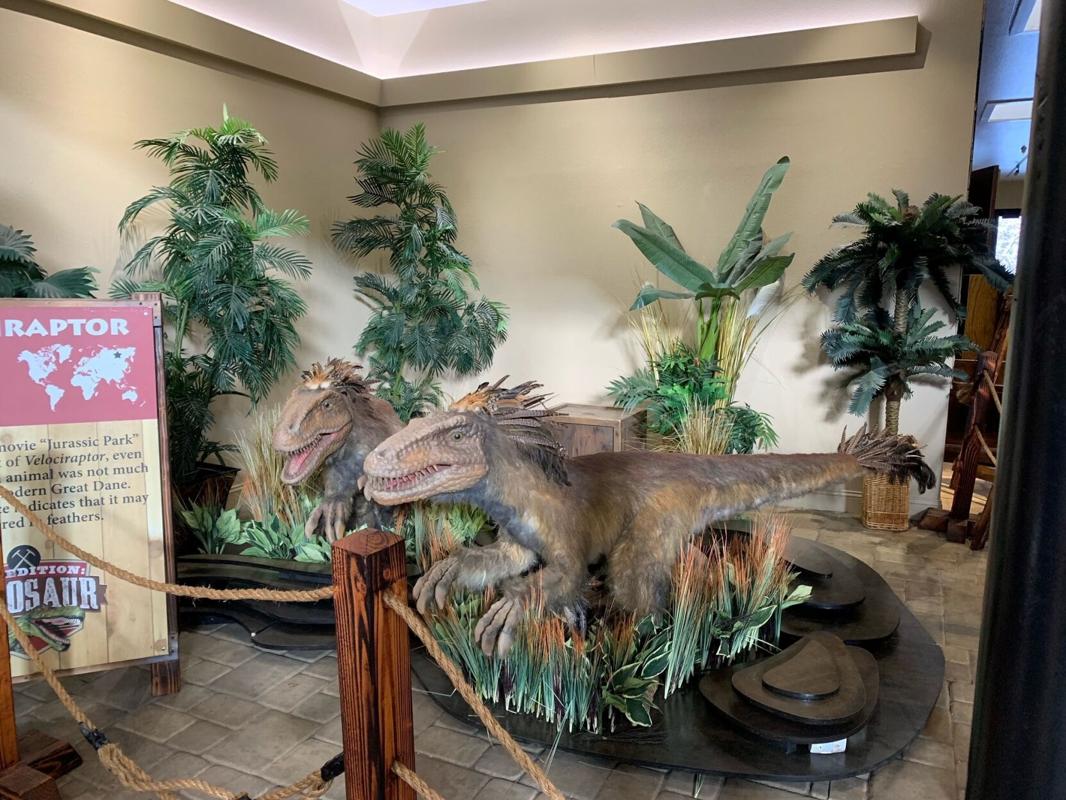 Expedition Dinosaur exhibit opens at Wilbur D. May Museum News