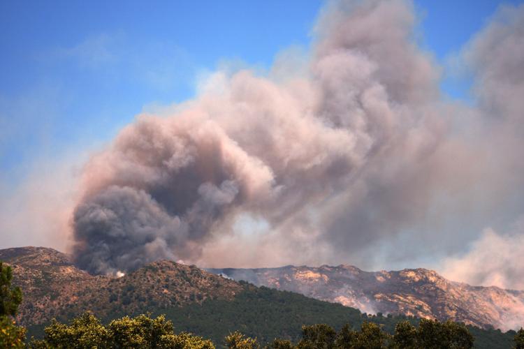 Europe battles fast-moving wildfires sweeping across Spain and France, in photos