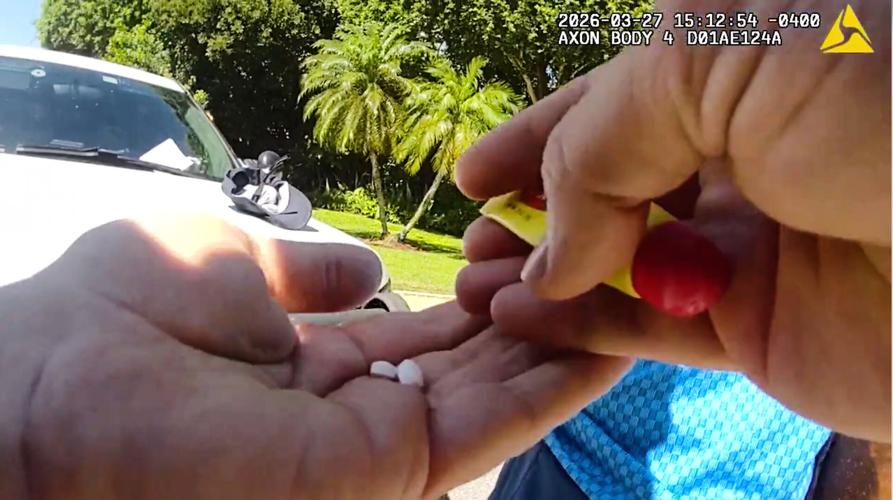 Tiger Woods Golf