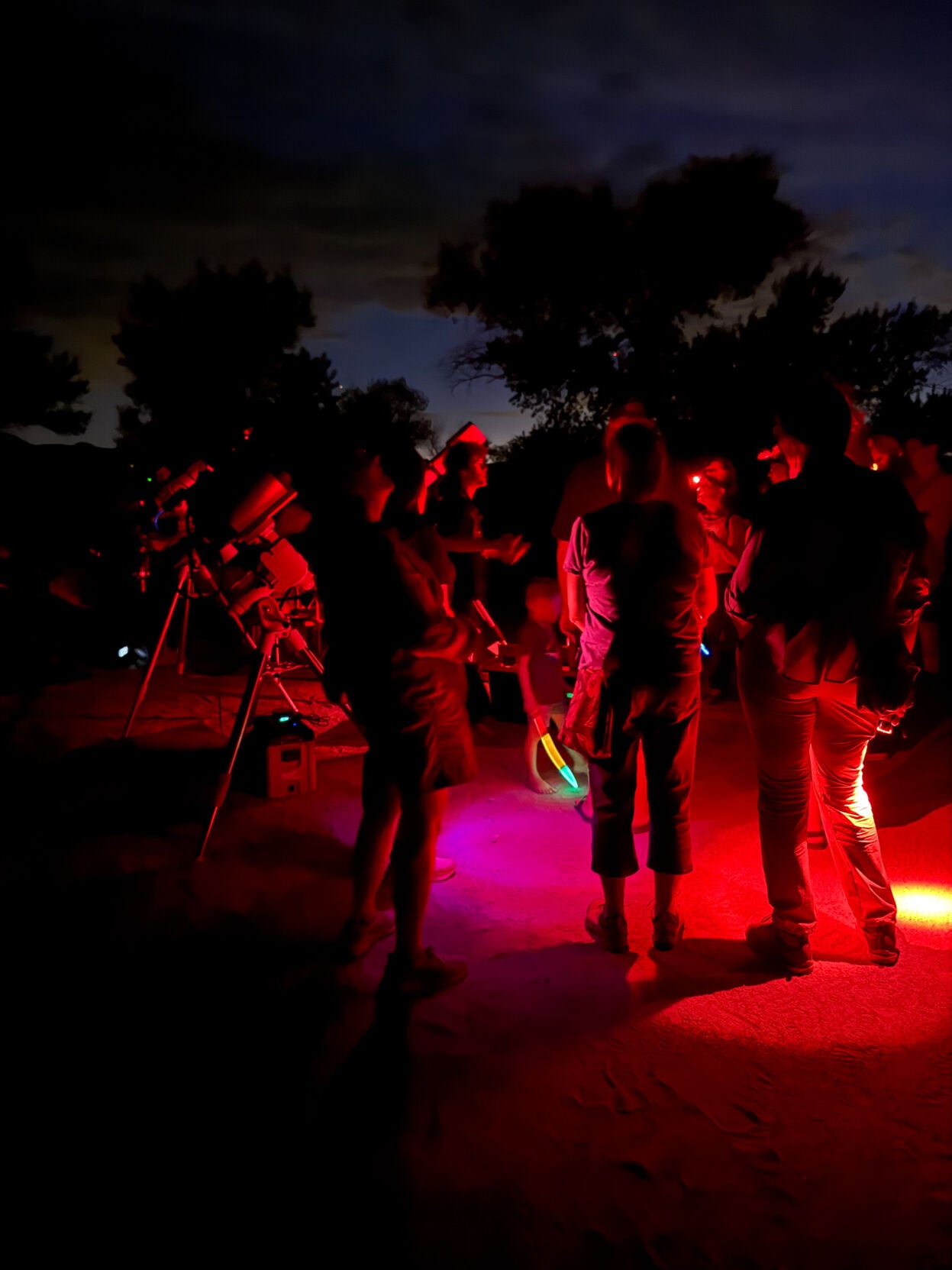 Cosmos in the Desert 2025