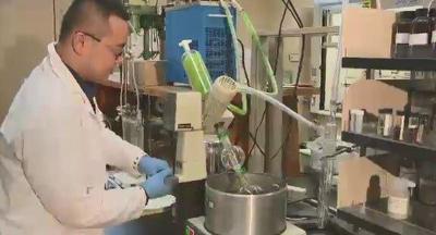 Turning Algae Into Biofuel