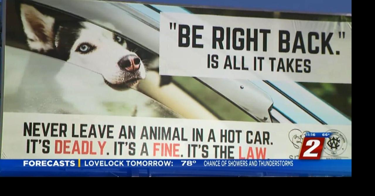 Hot Cars Kill Campaign News