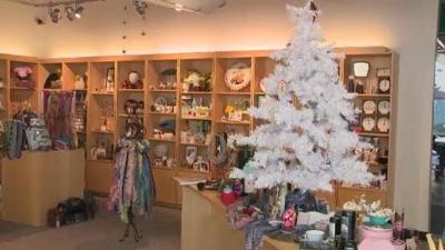 Nevada Museum of Art Remains at 25% Capacity, Offers Black Friday Deals