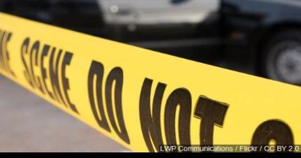 Human remains found near Lompa Ranch in Carson City - Vimarsana News