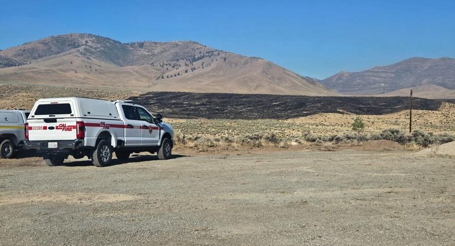 Burnt area near Hallelujah Junction
