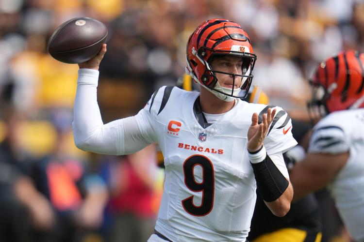 Bengals Steelers Football
