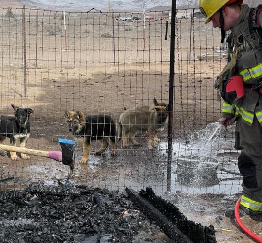 Doghouse fire